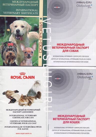 Паспорт